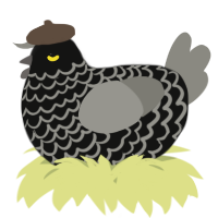 A black and ash chicken with a lace pattern