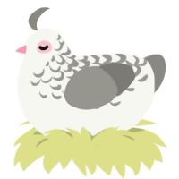 Ghost, a white and ash chicken with a half-lace pattern
