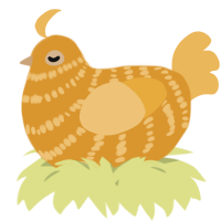 A orange and honey chicken with a bar pattern