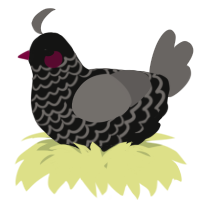 A black and grey chicken with a lace pattern