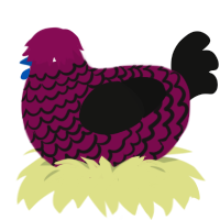 Morticia, a wine and black chicken with a lace pattern