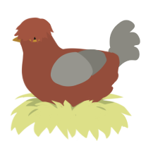A russet and ash chicken