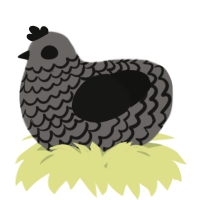 A grey and black chicken with a lace pattern