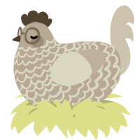 A orchid and lemon chicken with a lace pattern