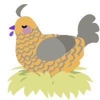 A honey and ash chicken with a lace pattern