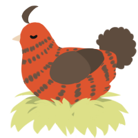 A vermilion and bark chicken with a bar pattern