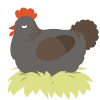 A grey and bark chicken with a neck-band pattern