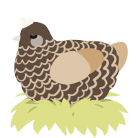 A bark and beige chicken with a lace pattern