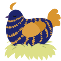 Vincent, a navy and orange chicken with a bar pattern