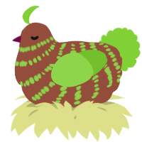 A russet and grass chicken with a bar pattern