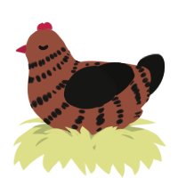 A russet and black chicken with a bar pattern