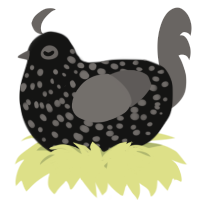 A black and grey chicken with a speckle pattern