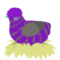 A violet and grey chicken with a bar pattern