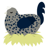 Ink, a ash and tumblr chicken with a speckle pattern