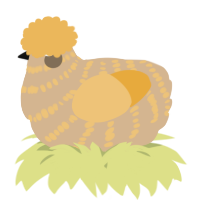 A beige and honey chicken with a bar pattern