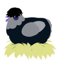 A cream and grey chicken with a head pattern