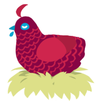A maroon and crimson chicken with a lace pattern