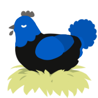 A black and ultramarine chicken with a head pattern