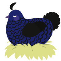 A navy and black chicken with a lace pattern