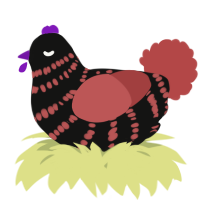 A black and red chicken with a bar pattern