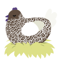 A bark and white chicken with a double-lace pattern