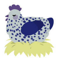 A silver and navy chicken with a speckle pattern