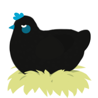 A black chicken with a speckle pattern
