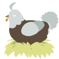 A bark and silver chicken with a head pattern