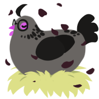 Photograph, a grey and sable chicken with a neck-speckle pattern