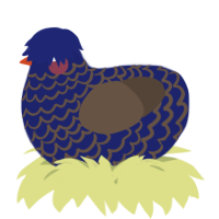 A navy and bark chicken with a lace pattern