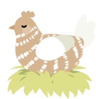 A beige and white chicken with a bar pattern