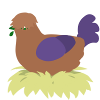 A brown and overcast chicken