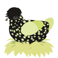 A sable and lemon chicken with a speckle pattern