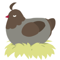 A ash and bark chicken with a head pattern