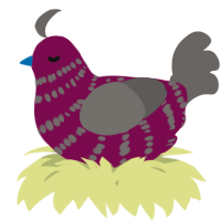 A wine and grey chicken with a bar pattern