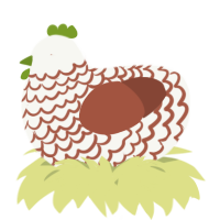 A white and russet chicken with a lace pattern