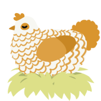 A white and orange chicken with a lace pattern