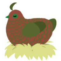 A russet and olive chicken with a lace pattern