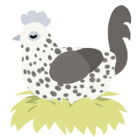 A white and grey chicken with a speckle pattern