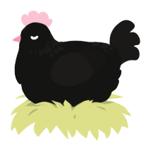 A black and sable chicken with a neck-speckle pattern
