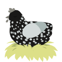 Foggy Woods, a sable and silver chicken with a speckle pattern