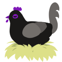 A sable and grey chicken