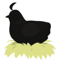 A black and sable chicken with a neck-speckle pattern