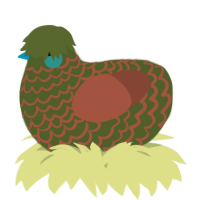 A olive and russet chicken with a lace pattern