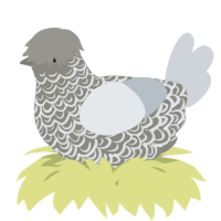 A ash and mist chicken with a double-lace pattern