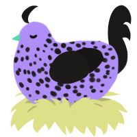 Ube Roll Cake, a lilac and sable chicken with a speckle pattern