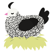 A white and sable chicken with a double-lace pattern