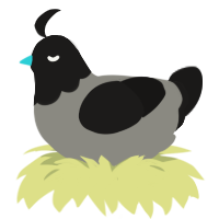 Karen, a ash and sable chicken with a head pattern