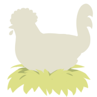 From Can to Cant, a white chicken with a neck-speckle pattern