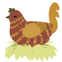 A russet and gold chicken with a bar pattern